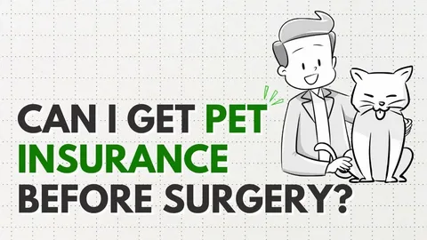 Pet Insurance: Is It Right for Your Furry Friend?